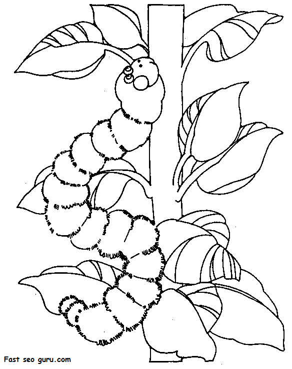 Printable spring insects caterpillar coloring pages